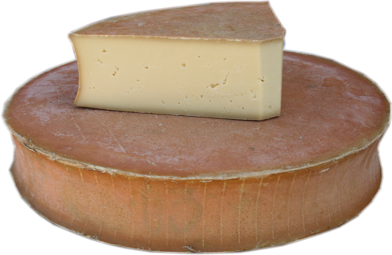 Online Käse kaufen Abondance fermier AOP jetzt bestellen